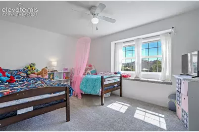 10065 Litchfield Street, Peyton, CO 80831 - Photo 34