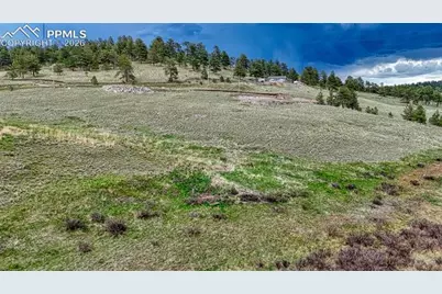 315 Empire Road, Florissant, CO 80816 - Photo 8