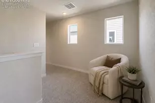 8538 Blue Feather Loop, Colorado Springs, CO 80908 - Photo 24