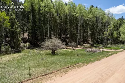 546 Spring Valley Lane, Florissant, CO 80816 - Photo 16