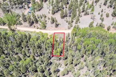 546 Spring Valley Lane, Florissant, CO 80816 - Photo 8