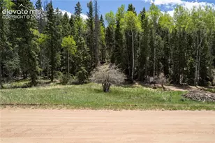 546 Spring Valley Ln, Florissant, CO 80816 - Photo 1