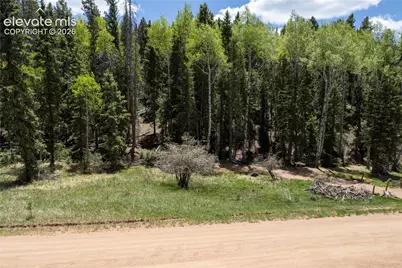 546 Spring Valley Lane, Florissant, CO 80816 - Photo 14