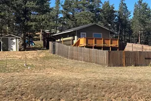 777 Wilson Dr, Florissant, CO 80816 - Photo 1