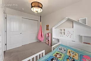 3011 Shikra View, Colorado Springs, CO 80916 - Photo 22
