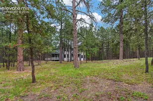 17695 Roller Coaster Rd, Monument, CO 81032 - Photo 8