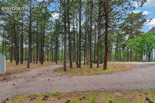 17695 Roller Coaster Rd, Monument, CO 81032 - Photo 16