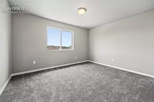 6007 Wendy Stream Wy, Colorado Springs, CO 80924 - Photo 34