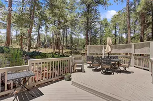 1360 Pawprint Ct, Colorado Springs, CO 80921 - Photo 46