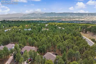 1360 Pawprint Ct, Colorado Springs, CO 80921 - Photo 6