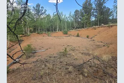1124 Yorktown Road, Cripple Creek, CO 80813 - Photo 6