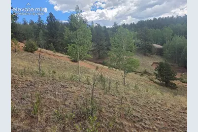 1124 Yorktown Road, Cripple Creek, CO 80813 - Photo 12
