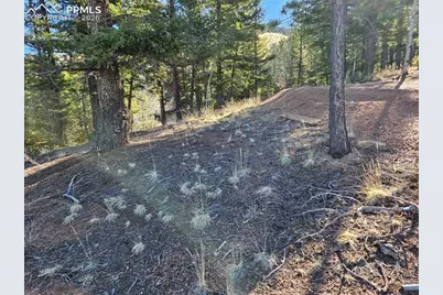 652 Derby Drive, Cripple Creek, CO 80813 - Photo 16