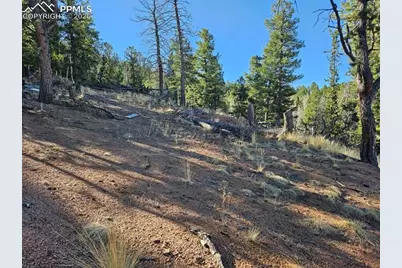 652 Derby Drive, Cripple Creek, CO 80813 - Photo 14