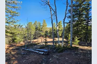 652 Derby Drive, Cripple Creek, CO 80813 - Photo 18