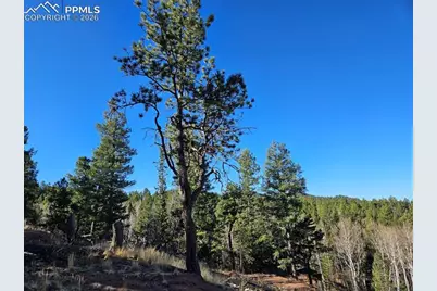 652 Derby Drive, Cripple Creek, CO 80813 - Photo 12