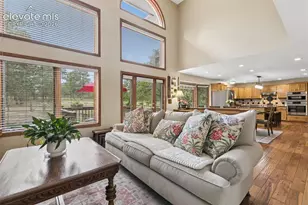 8115 Windfall Way, Colorado Springs, CO 80908 - Photo 8