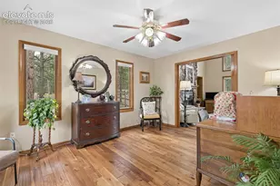 8115 Windfall Way, Colorado Springs, CO 80908 - Photo 8