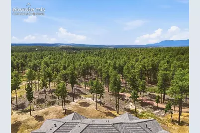 3155 Promise Point, Colorado Springs, CO 80921 - Photo 26