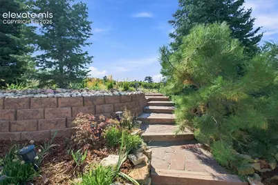1097 Prickly Pear Place, Colorado Springs, CO 80921 - Photo 20
