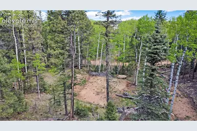 714 Will Stutley Drive, Divide, CO 80814 - Photo 32