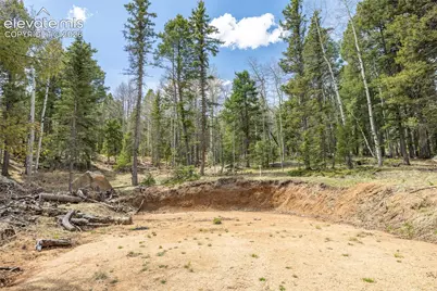 714 Will Stutley Drive, Divide, CO 80814 - Photo 34