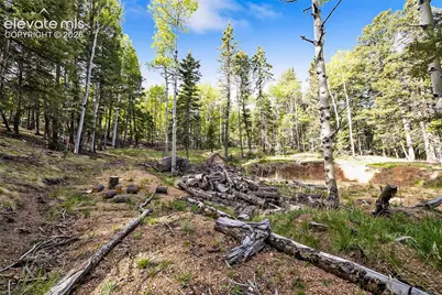 714 Will Stutley Drive, Divide, CO 80814 - Photo 8
