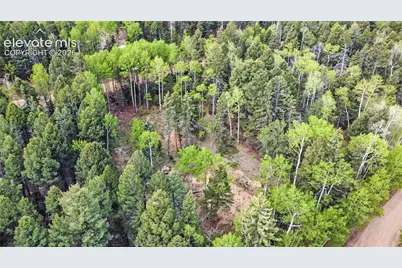 714 Will Stutley Drive, Divide, CO 80814 - Photo 22