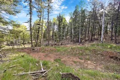 714 Will Stutley Drive, Divide, CO 80814 - Photo 12
