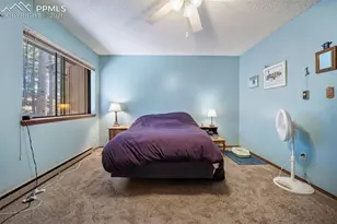 554 Manor Ct, Woodland Park, CO 80863 - Photo 14