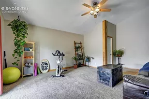 455 Red Feather Ln, Woodland Park, CO 80863 - Photo 12