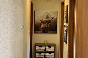 410 Hillcrest Ave, Woodland Park, CO 80863 - Photo 24
