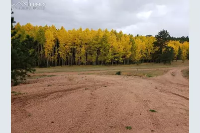 4710 Wildhorn Road, Florissant, CO 80816 - Photo 40