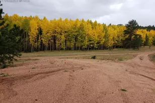 4710 Wildhorn Rd, Florissant, CO 80816 - Photo 40