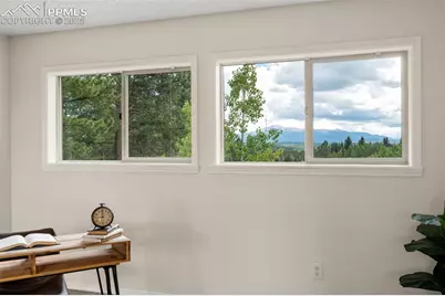4710 Wildhorn Road, Florissant, CO 80816 - Photo 20