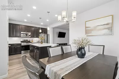5329 Snowy Egret Grove, Colorado Springs, CO 80924 - Photo 12