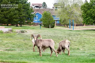 5230 Champagne Dr, Colorado Springs, CO 80919 - Photo 36
