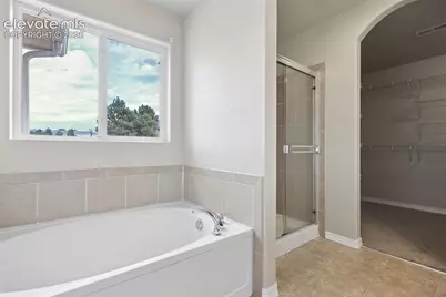 2313 Spring Blossom Drive, Colorado Springs, CO 80910 - Photo 28