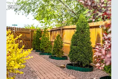 4891 Tawny Ridge Drive, Colorado Springs, CO 80916 - Photo 26