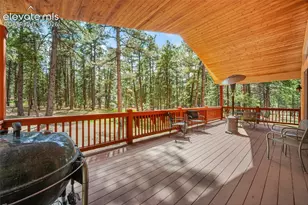 4235 Slash Pine Dr, Colorado Springs, CO 80908 - Photo 14