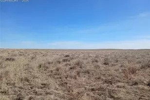 19981 Cloudfield Pt, Colorado Springs, CO 80928 - Photo 32
