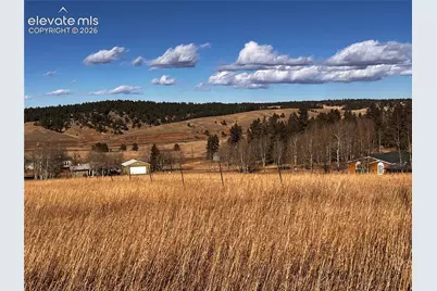 216 Will Scarlet Drive, Divide, CO 80814 - Photo 2