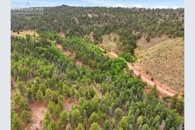 1310 Park Ridge Drive, Guffey, CO 80820 - Photo 10