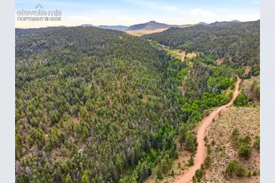 1310 Park Ridge Drive, Guffey, CO 80820 - Photo 12
