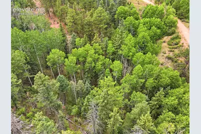 1310 Park Ridge Drive, Guffey, CO 80820 - Photo 28