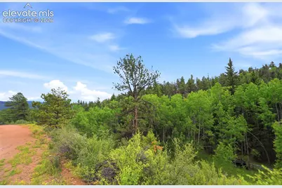 1310 Park Ridge Drive, Guffey, CO 80820 - Photo 20