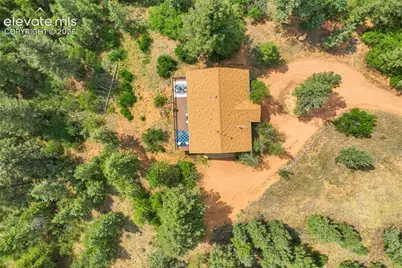 5545 Scout Ridge Trail, Cascade, CO 80809 - Photo 48