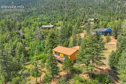 5545 Scout Ridge Trail, Cascade, CO 80809 - Photo 44