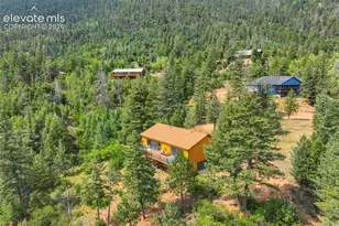 5545 Scout Rdg Trl, Cascade, CO 80809 - Photo 44
