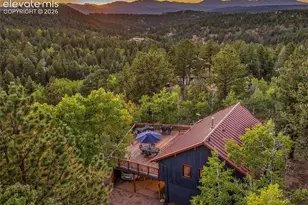 307 Berylium Rd, Florissant, CO 80816 - Photo 4